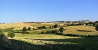 IMG_2797